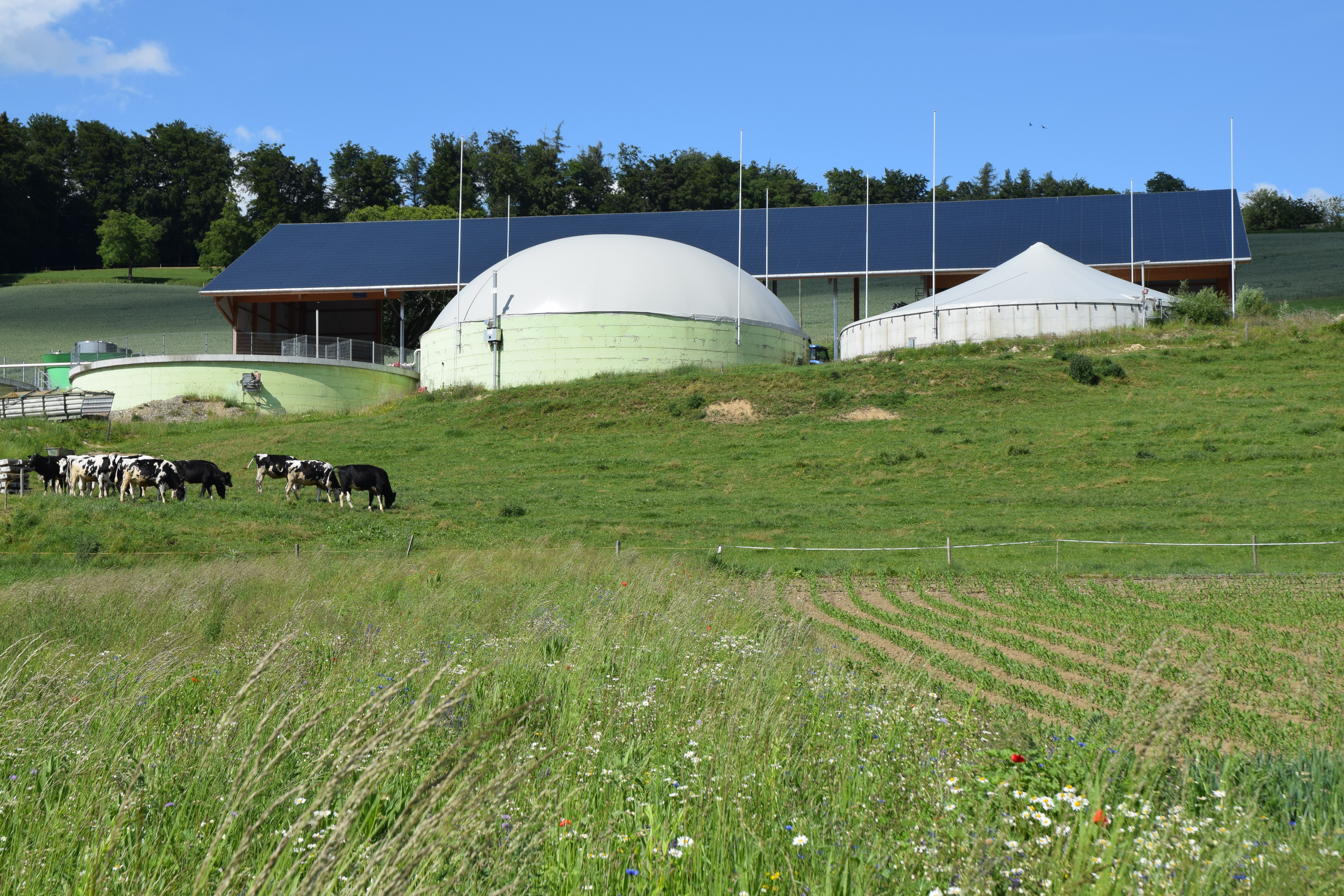 Biogas- und PV-Anlage Simon Schmitter, Noréaz